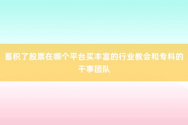 蓄积了股票在哪个平台买丰富的行业教会和专科的干事团队