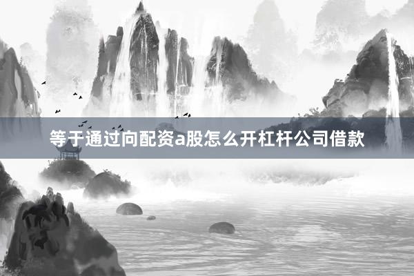等于通过向配资a股怎么开杠杆公司借款