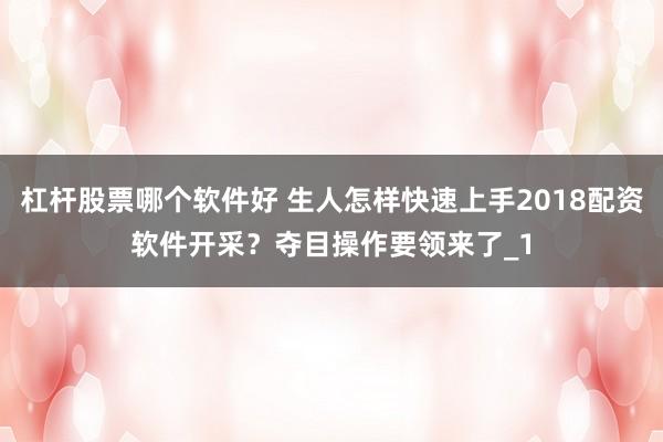 杠杆股票哪个软件好 生人怎样快速上手2018配资软件开采?夺目操作要领来了_1